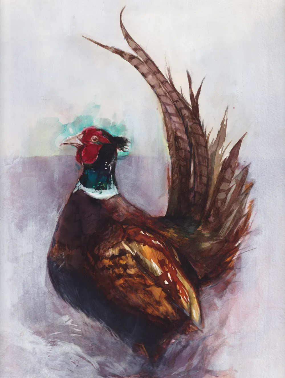 A watercolour painting of a pheasant