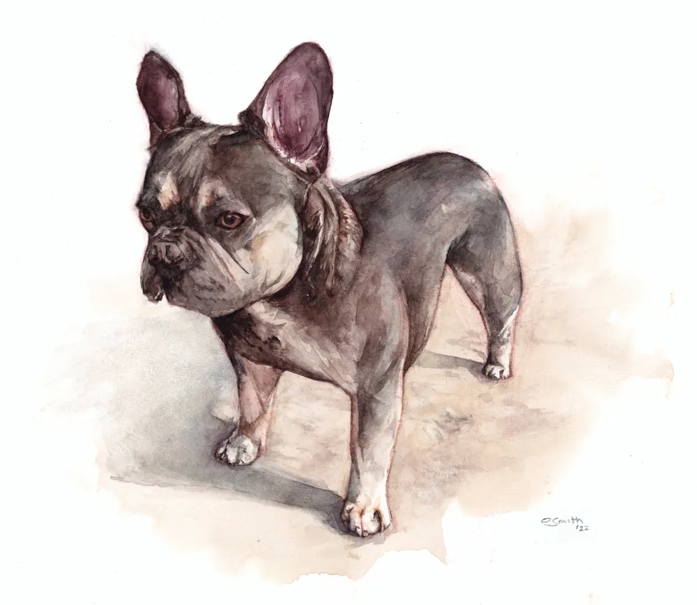 A watercolour painting of a french bulldog