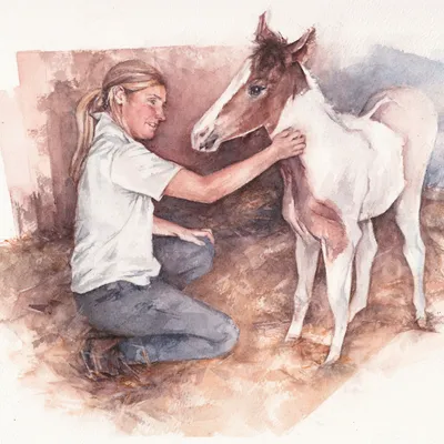A watercolour painting of a girl in a stable with a skewbald foal